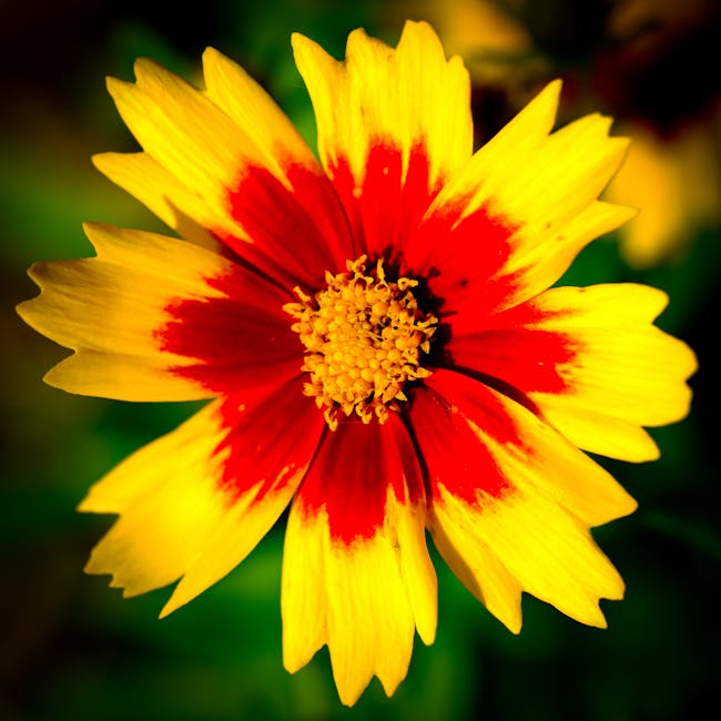 Vibrant health and floral wellness