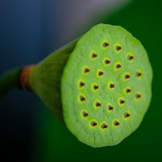 Deep-rooted growth nutrition pod