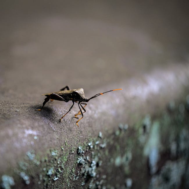 Natural resilience and adaptation training