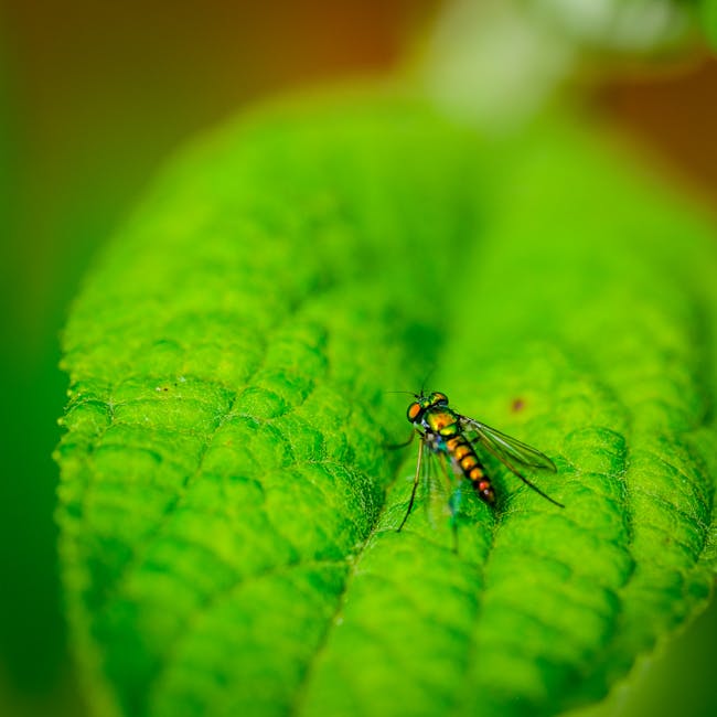 Precision and observation in natural fitness environments